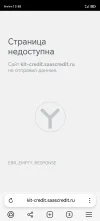 Screenshot_20250422_134822_com_yandex_browser_YandexBrowserMainActivity.webp