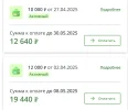 платиза.webp