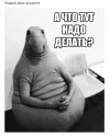 -UhsqyNOBVg.webp