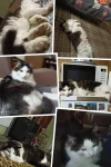 20230814_092059-COLLAGE.webp