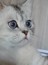 IMG-20241110-WA0028.webp