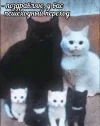 1746386503026.webp