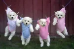 IMG_20250505_142533.webp
