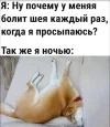 IMG_20250505_130547_515.webp