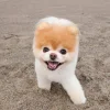 a79fabf24c1900dd31eb02241e8fd6ed.webp