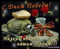 3648.webp
