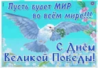 Screenshot_20250509_093955_com_whatsapp_MediaViewActivity_edit_227716591099341.webp