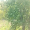 IMG20250510154613.webp