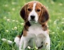 unnamed (8).webp