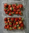 IMG_0505.webp