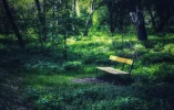 priroda-skameika-park.webp