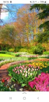Screenshot_20250514-181651_Yandex Start.webp