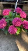 IMG-20250513-WA0066.webp