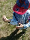IMG_20250509_152230_217.webp