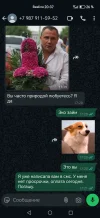 Screenshot_20250517_203746_com_whatsapp_Conversation.webp