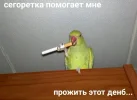 a9b2ad248aa09c26ce091c22212245fb.webp