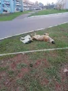 IMG_20240807_191223.webp