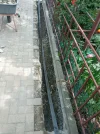 IMG_20250526_145226.webp