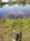1000042856.webp
