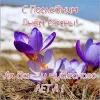 1463.webp