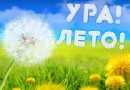 i (7).webp