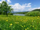 i (6).webp