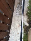 IMG-20250531-WA0001.webp