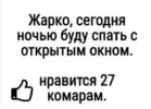 1748780319825.webp