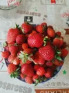 IMG_20250601_153320.webp
