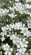 1000002847.webp