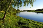 5adca383ebec086721261cb5ba35b860.webp
