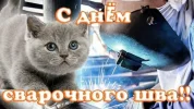 xIAAAgCbQ-A-1920.webp
