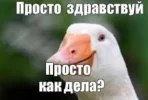 1749032623145.webp