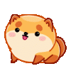 11.gif