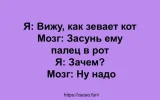 i (4).webp