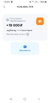 Screenshot_20250610-132311_OZON.webp