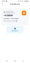 Screenshot_20250610-161536_OZON.webp