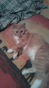 iY3cmb9OsBGlhuYsdT5AN_WOXTq4J7nbTBXjmf07fyPhtog2n7WHIvviEr4WNtGRCPoPNA.webp