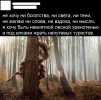 167613821619753425.webp