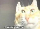 images.webp