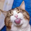 8b43b7915957df45c2d936ec1d39a69f.webp