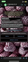 9B835BF9-7A74-43F6-A721-33D5CF81BE2B.webp