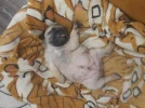 1000000531.webp
