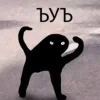 dd7c94c9f09376aa00c13de34df401b7.webp