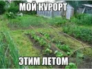 1000013592.webp