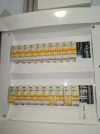 1000041111.webp