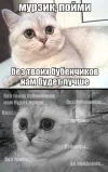 ab357069a805ed456fe9668bf7fa12d0.webp