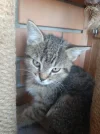 Изображение WhatsApp 2024-09-26 в 19.36.58_2f212439.webp