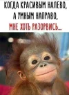 1000013138.webp