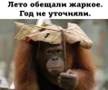 1000014237.webp